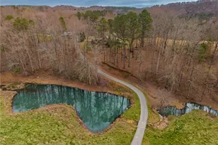 723 Sulphur Springs Rd, Fairmount, GA 30139 - Photo 52