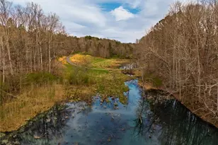 723 Sulphur Springs Rd, Fairmount, GA 30139 - Photo 48