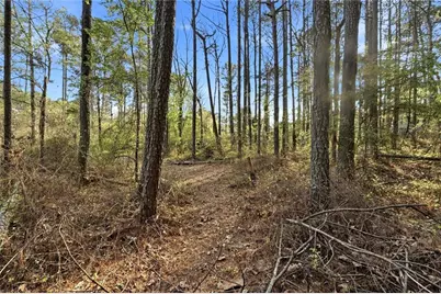 2452 Camp Mitchell Road, Grayson, GA 30017 - Photo 76