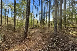 2452 Camp Mitchell Rd, Grayson, GA 30017 - Photo 76