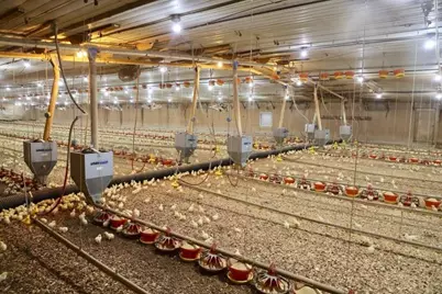 876 Wood Station Road, Rock Spring, GA 30739 - Photo 42