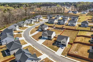 458 Blue Juniper Cir, Loganville, GA 30052 - Photo 56