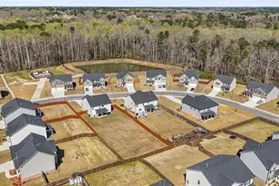 458 Blue Juniper Cir, Loganville, GA 30052 - Photo 60