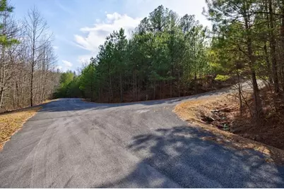 0 Seqouyah Club Drive, Ranger, GA 30734 - Photo 24