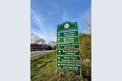 0 Lewis Grindle Parcel 3 Road, Dahlonega, GA 30533 - Photo 10