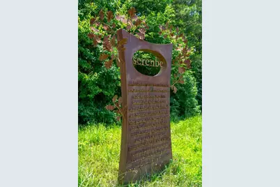 304 Mado Lane, Chattahoochee Hills, GA 30268 - Photo 52