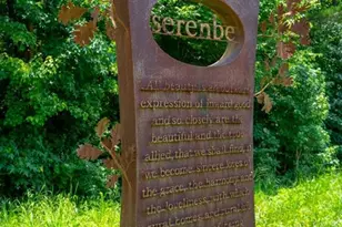 304 Mado Ln, Chattahoochee Hills, GA 30268 - Photo 52