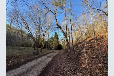 0 Lewis Grindle Parcel 4 Road, Dahlonega, GA 30533 - Photo 8