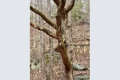 0 Lewis Grindle Parcel 4 Road, Dahlonega, GA 30533 - Photo 2