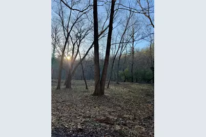 0 Lewis Grindle Parcel 4 Road, Dahlonega, GA 30533 - Photo 6