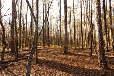 0 Social Circle Parkway, Social Circle, GA 30025 - Photo 6