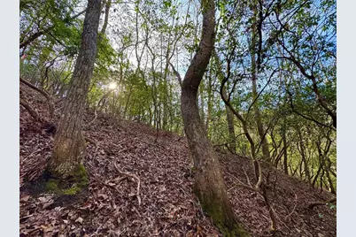 #9 #5 Bethany Road, Jasper, GA 30143 - Photo 6