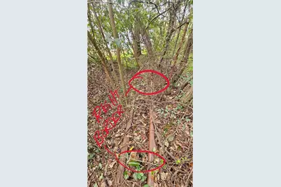 325 Jones Avenue, Macon, GA 31217 - Photo 20