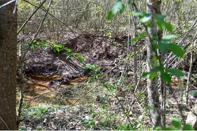 1918 Enchanted Woods Trail, Marietta, GA 30066 - Photo 48