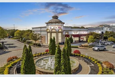 25 Springwater Way, Newnan, GA 30265 - Photo 46