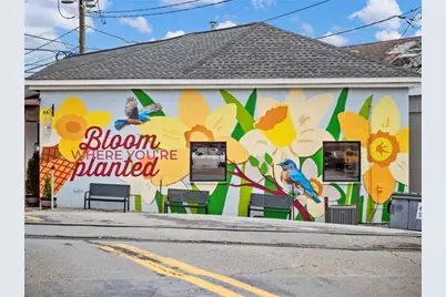 680 Groover Street, Ball Ground, GA 30107 - Photo 42