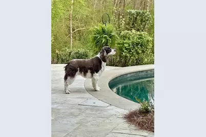 5425 Buckland Way SE, Smyrna, GA 30126 - Photo 72