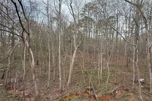 175 River N Ct, Covington, GA 30016 - Photo 24