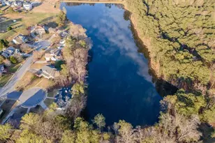 3817 Bald Eagle Drive, Loganville, GA 30052 - Photo 40