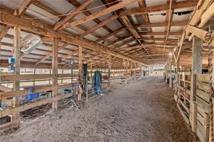 38 Hightower Rd, Talking Rock, GA 30175 - Photo 36