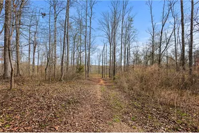 0 Winford Smith Road, Athens, GA 30607 - Photo 8