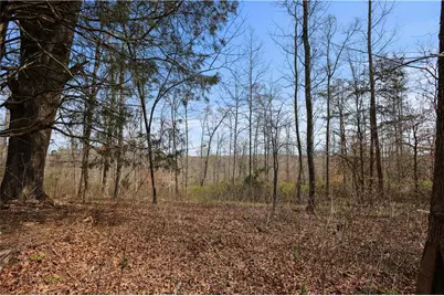 0 Winford Smith Road, Athens, GA 30607 - Photo 6