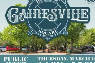 2691 Limestone Creek Dr, Gainesville, GA 30501 - Photo 54