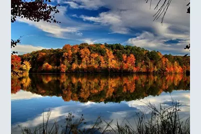 1561 Branthaven Lane, Auburn, GA 30011 - Photo 72