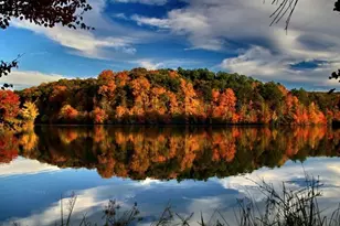 1561 Branthaven Ln, Auburn, GA 30011 - Photo 72