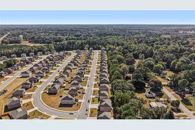 120 Cabin Way, Hampton, GA 30228 - Photo 46