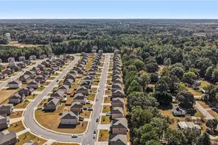 120 Cabin Way, Hampton, GA 30228 - Photo 46