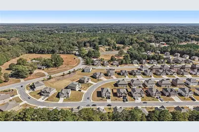 120 Cabin Way, Hampton, GA 30228 - Photo 48