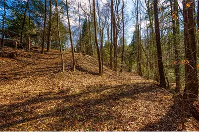 9 Blackbear Mountain Trail, Suches, GA 30572 - Photo 72