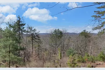 1492 Ivy Mountain Road, Clarkesville, GA 30523 - Photo 40