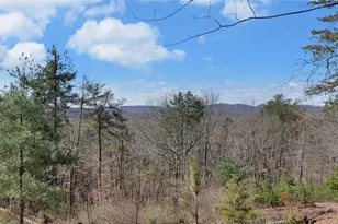 1492 Ivy Mountain Rd, Clarkesville, GA 30523 - Photo 40