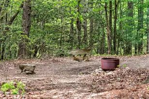 245 Old Anderson Creek, Ellijay, GA 30536 - Photo 62