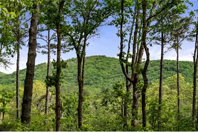 245 Old Anderson Creek, Ellijay, GA 30536 - Photo 2