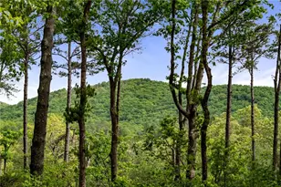 245 Old Anderson Creek, Ellijay, GA 30536 - Photo 2