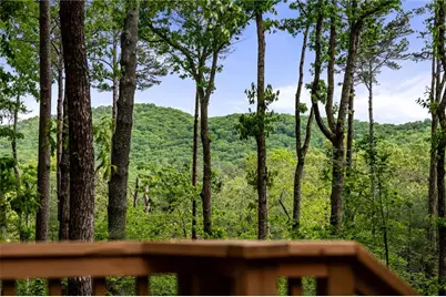 245 Old Anderson Creek, Ellijay, GA 30536 - Photo 54