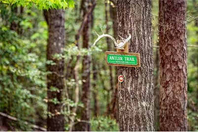 245 Old Anderson Creek, Ellijay, GA 30536 - Photo 56