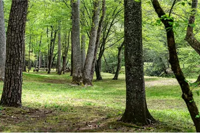 245 Old Anderson Creek, Ellijay, GA 30536 - Photo 68