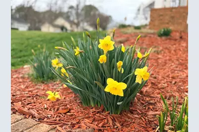 2001 Two Springs Way, Lawrenceville, GA 30043 - Photo 30