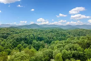 1172 Settler's Ridge Rd, Ellijay, GA 30540 - Photo 44
