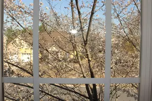 24 Maple Grove Dr, Adairsville, GA 30103 - Photo 26