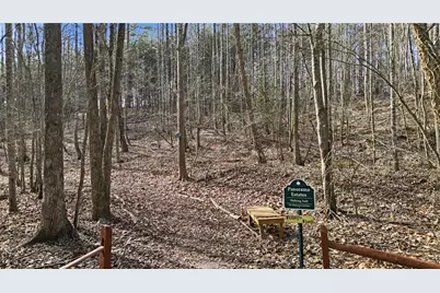 1773 Panorama Drive, Sautee Nacoochee, GA 30571 - Photo 28