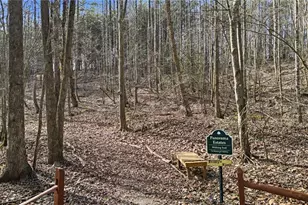 1773 Panorama Dr, Sautee Nacoochee, GA 30571 - Photo 28