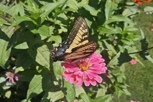 5440 Bentley Hall Dr, Johns Creek, GA 30005 - Photo 28