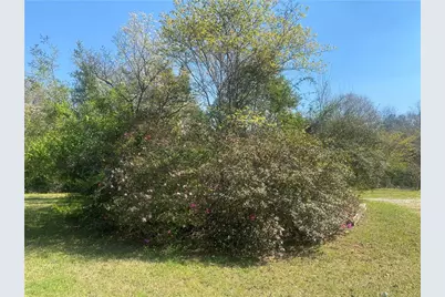 109 Hillcrest Road, Lumpkin, GA 31815 - Photo 2