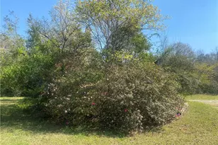 109 Hillcrest Rd, Lumpkin, GA 31815 - Photo 2