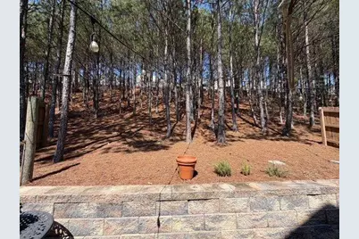 331 Alcovy Way, Woodstock, GA 30188 - Photo 6